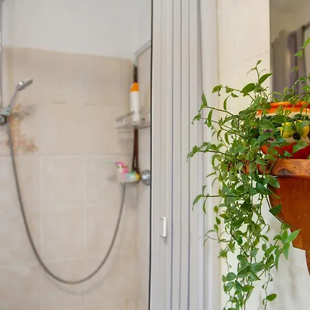 Appartement Casa Del Cios Alpe Basciumo